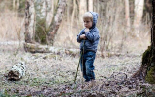 Чудом нашли: родители потеряли 2-летнего сына в лесу на Буковине