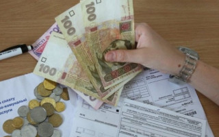 Субсидии в Украине: хватит ли для всех денег в Госбюджете