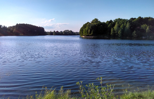 Горе-мать утопила в пруду двоих детей: все подробности