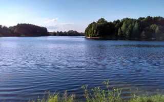 Горе-мать утопила в пруду двоих детей: все подробности