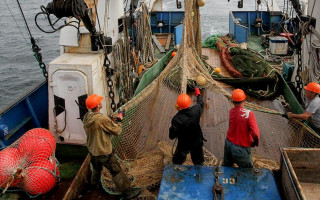 Пора домой: Украина и Россия обменялись «пленными» моряками