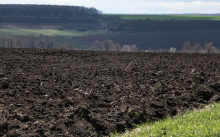 Мораторій на землю: уряд дав доручення Мінагрополітики