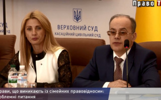 Справи, що виникають із сімейних правовідносин: проблемні питання