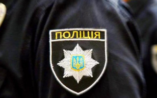 Побиття школярки у Дрогобичі: за справу взялися копи
