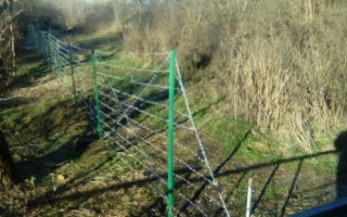 Росія відгородилась від бойовиків колючим дротом