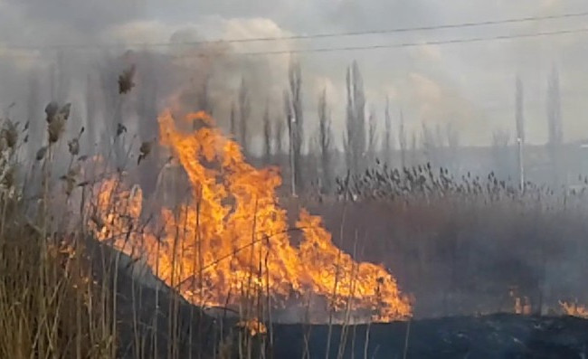 В Тернопольской области масштабный пожар: горели три гектара сухой травы