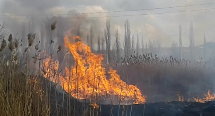 В Тернопольской области масштабный пожар: горели три гектара сухой травы