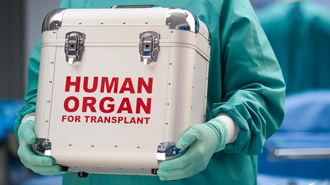 Создание системы трансплантологии в Украине хотят перенести