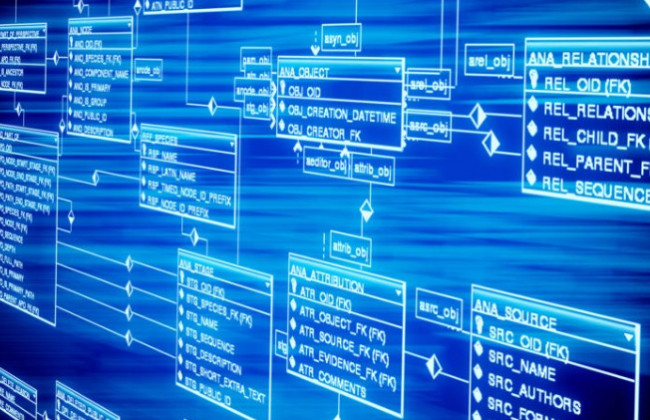 Привласнив інформацію з бази даних ДФС: під суд піде колишній посадовець