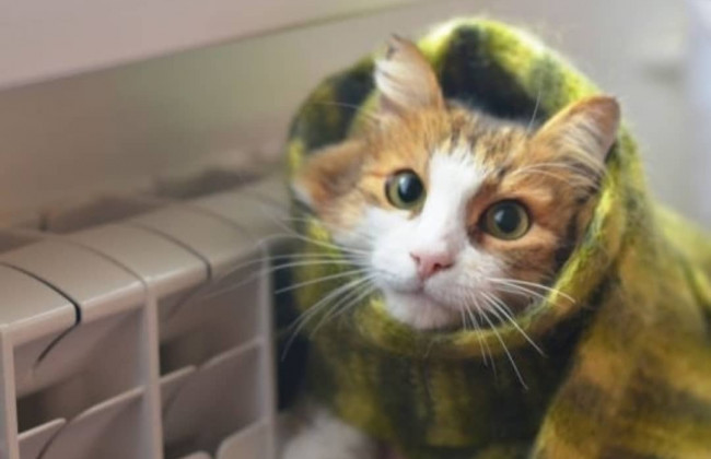 Коммуналка в Украине: тарифы на отопление рекордно возрастут