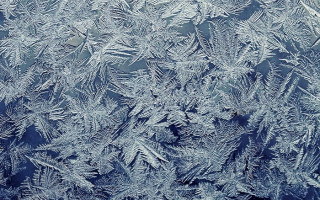 В Киеве шесть человек погибли от переохлаждения