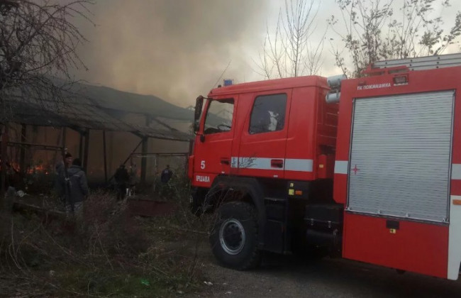 На Закарпатье произошел масштабный пожар: появилось видео