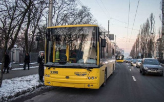 ДТП в Киеве: троллейбус вылетел с дороги и врезался в дерево
