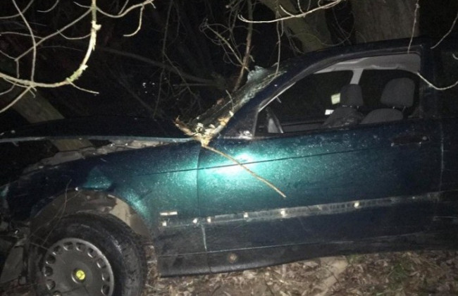 Влетел в дерево: на Волыни произошло масштабное ДТП