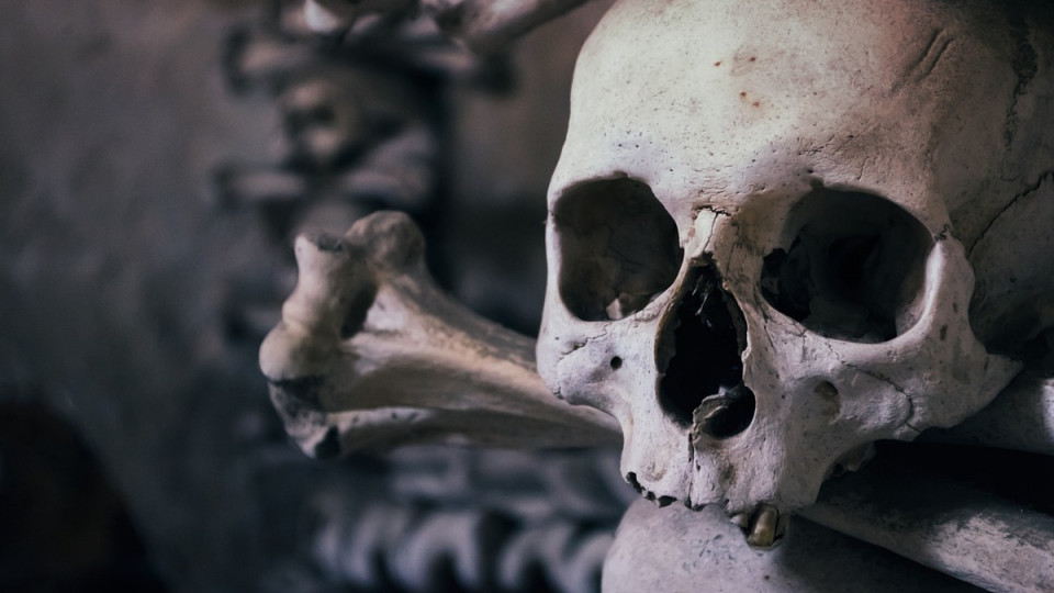 Скелет нашли в подвале: в Одессе раскрыли давнее убийство