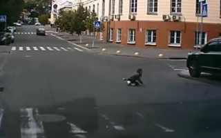 Збив дитину та втік з місця події: перед судом постане горе-водій