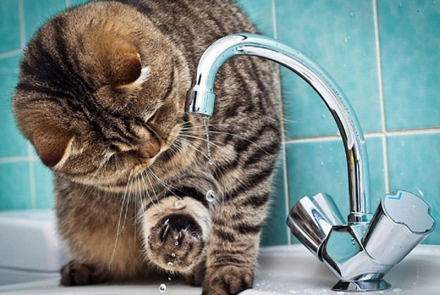 Киевлян предупредили об отключении воды: названы адреса