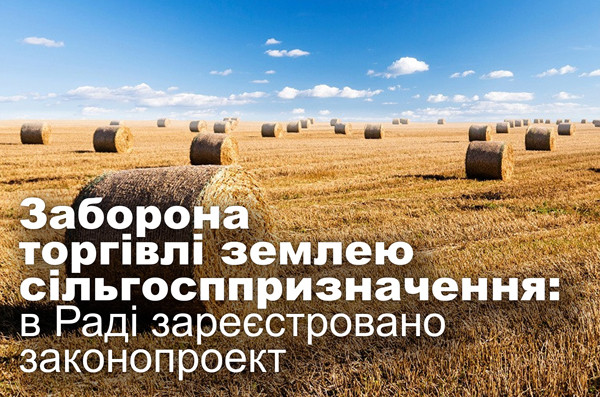 Заборона торгівлі землею сільгосппризначення: в Раді зареєстровано законопроект