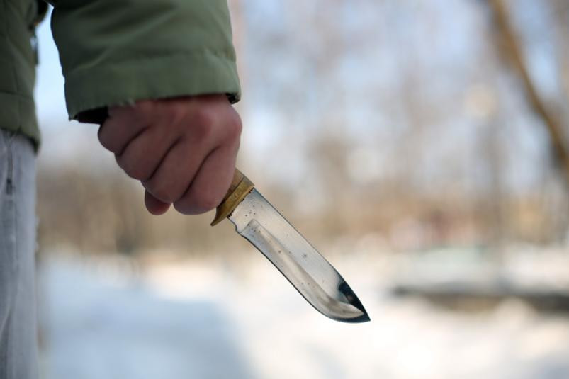 ЧП в Москве: 16-летний парень пришел в школу с ножом и угрожает убить себя