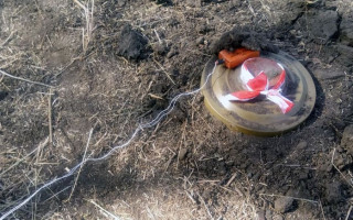 Розміновування Донбасу: Рада прийняла важливий закон