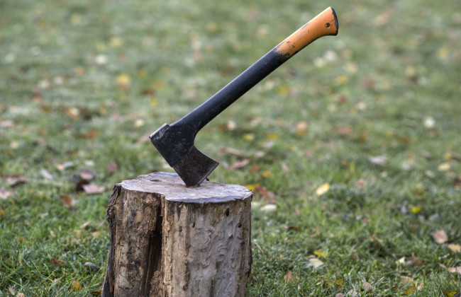 Жорстоке вбивство на Кіровоградщині: знайшли рештки чоловіка