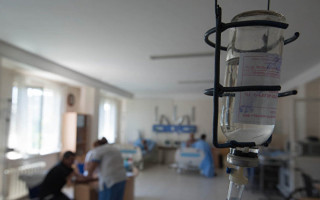 Во Львовской области мужчина пострадал от укуса ядовитой змеи