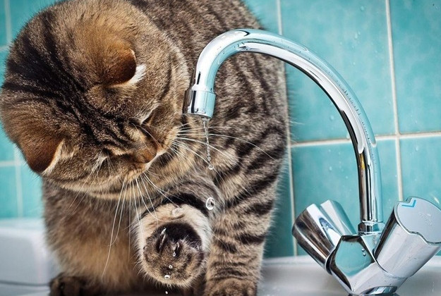 Киевлянам временно отключат водоснабжение: адреса и график