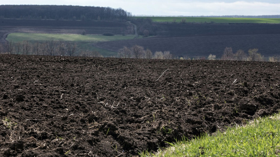 Мораторий на продажу земли в Украине отменят: подробности законопроекта