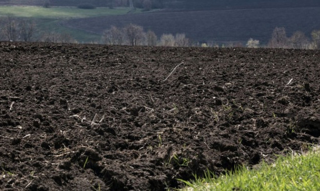 Рада продлила мораторий на продажу сельскохозяйственных земель