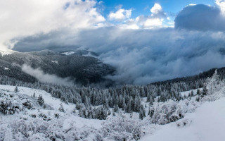 В Карпатах нашли двух потерявшихся туристов из Киева