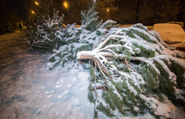 Из-за елки: в Киеве мужчины устроили поножовщину