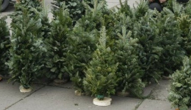 С ножами и битами: в Харькове произошла массовая драка