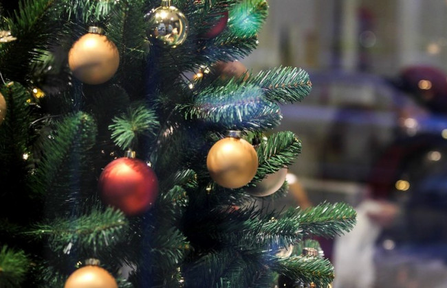 Формальдегид и другие токсические вещества: какую опасность несут  для украинцев елки