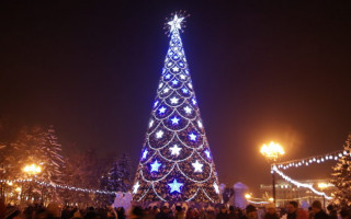 Пьяный вандал залез на новогоднюю елку в Борисполе