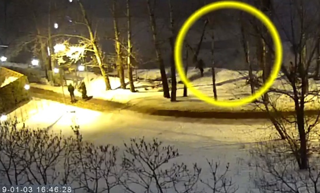 Провалились під лід: перехожий у столиці врятував бабцю з дитиною