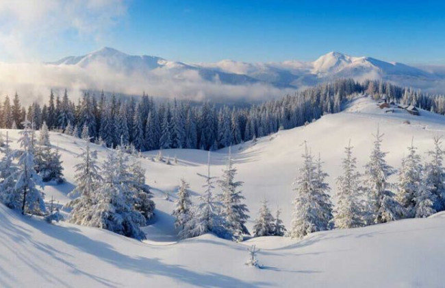 Заблудился в ночь перед Рождеством: в Карпатах нашли тело туриста