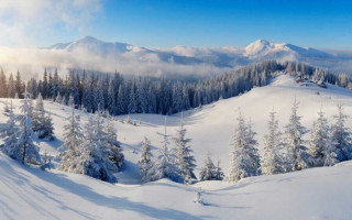 Заблудился в ночь перед Рождеством: в Карпатах нашли тело туриста