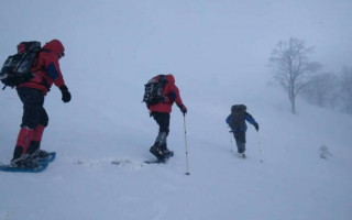 Пропали туристы в Карпатах: обнаружен иностранец, украинца ищут