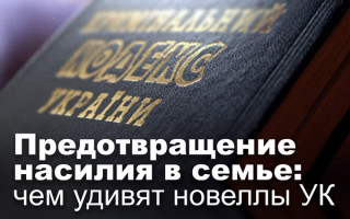 Предотвращение насилия в семье: чем удивят новеллы УК