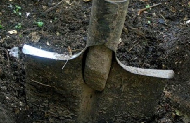 Под Кировоградом мужчина сознался в убийстве брата спустя 9 лет