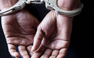 Убивала бездомных животных: в Днепропетровской области осудили пенсионерку