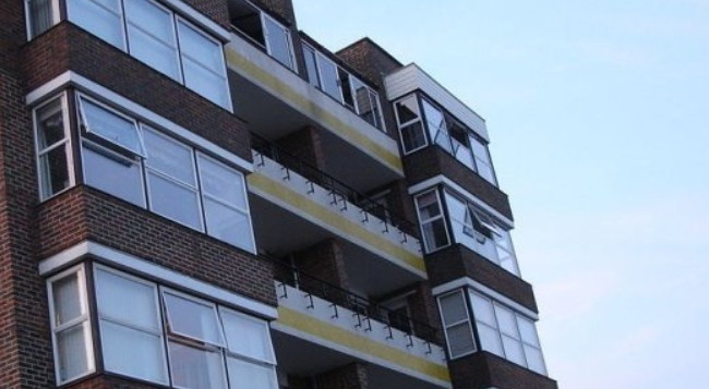 Викинули кота з 9 поверху: Львів сколихнув жорстокий випадок