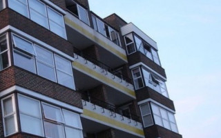 Викинули кота з 9 поверху: Львів сколихнув жорстокий випадок