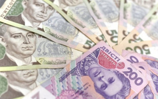 Субсидия в Украине: названы главные минусы госпомощи