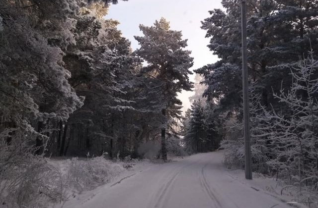 Девушка замерзла: копы отказались расследовать резонансное дело