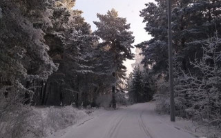 Девушка замерзла: копы отказались расследовать резонансное дело