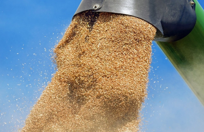 Трагедия в Харькове: мужчина упал в хранилище с зерном и умер