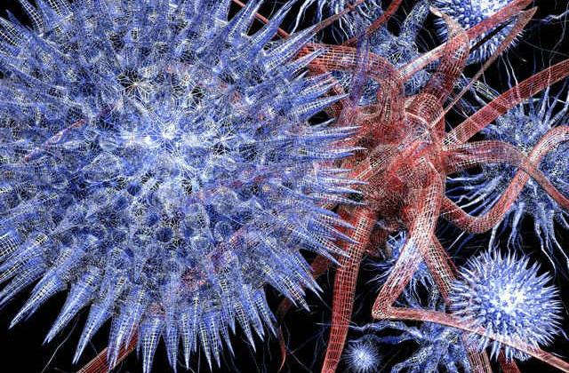 Эпидемия кори в Украине: медики спрогнозировали, сколько людей пострадают от вируса