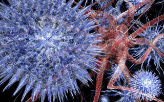 Эпидемия кори в Украине: медики спрогнозировали, сколько людей пострадают от вируса