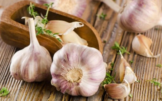 Названы 7 продуктов против гриппа и простуды